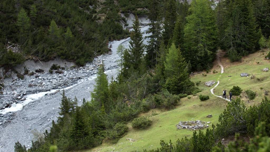 Im Schweizer Nationalpark wird das geheime Verhalten von Füchsen und Co. mit KI untersucht. (Archivbild)