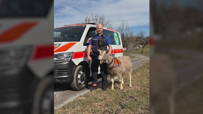 April, April: Das sind die Scherze aus der Zentralschweiz