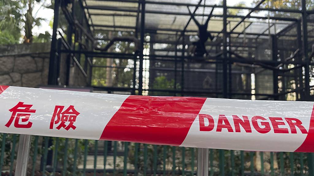 A cordon with the words danger is placed around the enclosures of monkeys after the mysterious deaths of several monkeys at the Hong Kong Zoological and Botanical Gardens in Hong Kong, Tuesday, Oct. 15, 2024. (AP Photo)