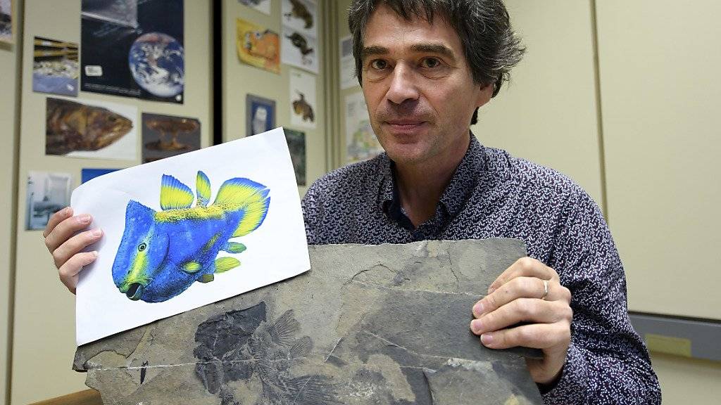 Der Genfer Paläontologe Lionel Cavin präsentiert den Quastenflosser-Fossil-Fund.