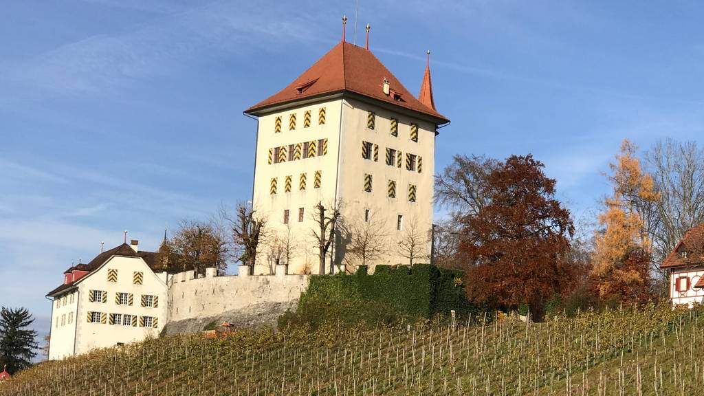 Schloss Heidegg mit dem Rebberg.