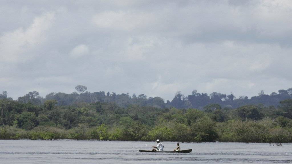 Fischer auf dem brasilianischen Fluss Xingu, nach dem auch der Nationalpark benannt ist (Archiv)