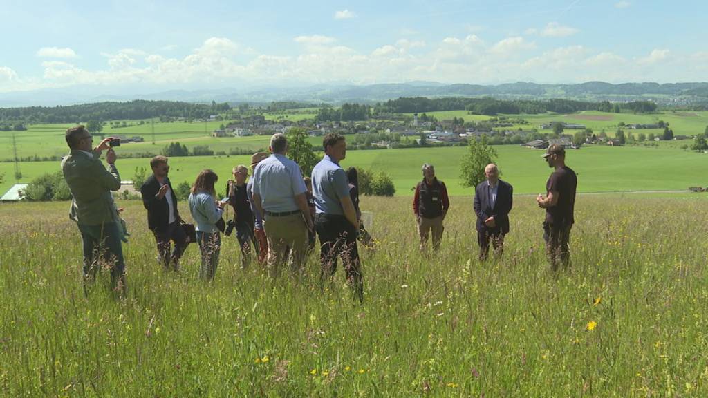 Neue Biodiversitätsstrategie des Kantons SG: Bauerverband warnt vor zusätzlichen Auflagen