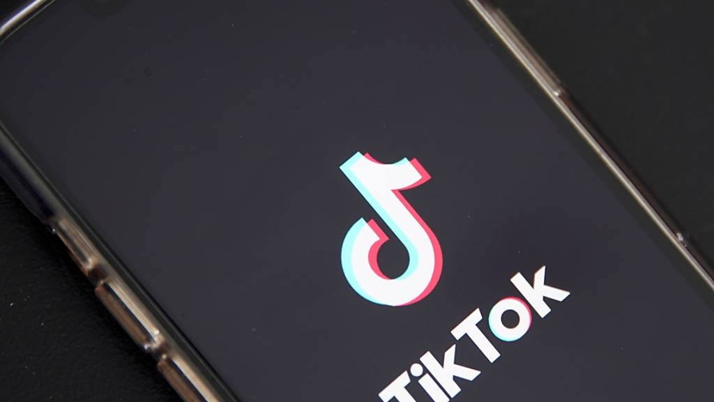 Ermittler sind bei einer europaweiten Aktion gegen islamistische und extremistische Propaganda im Onlinedienst Tiktok vorgegangen. (Symbolbild)