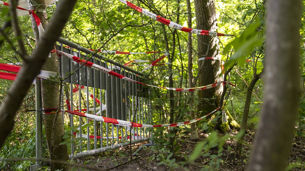 Geschlossene Grenzen liessen die illegalen Einreisen einbrechen: Versperrter Grenzübergang nach Deutschland im Naherholungsgebiet Lange Erle in Basel. (Archivbild)