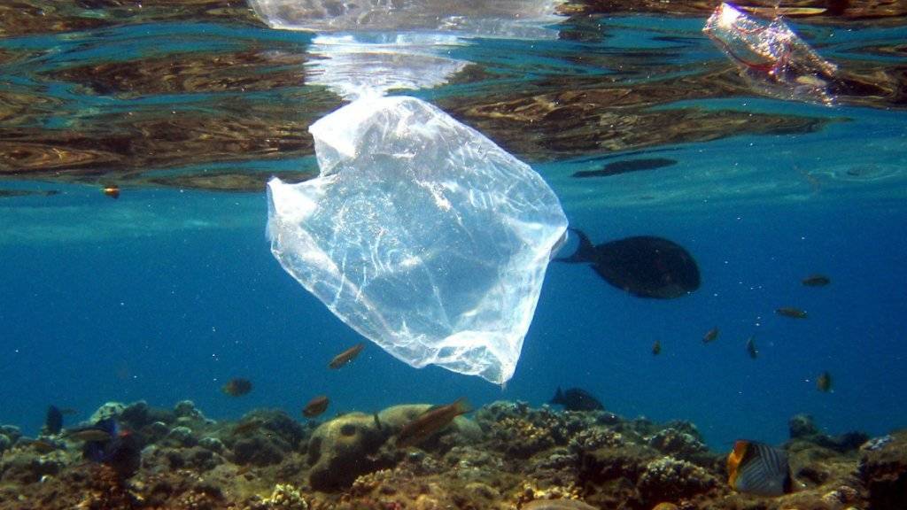 Gefahr besonders für Meeresschildkröten: Plastiksack im Wasser. (Archivbild)