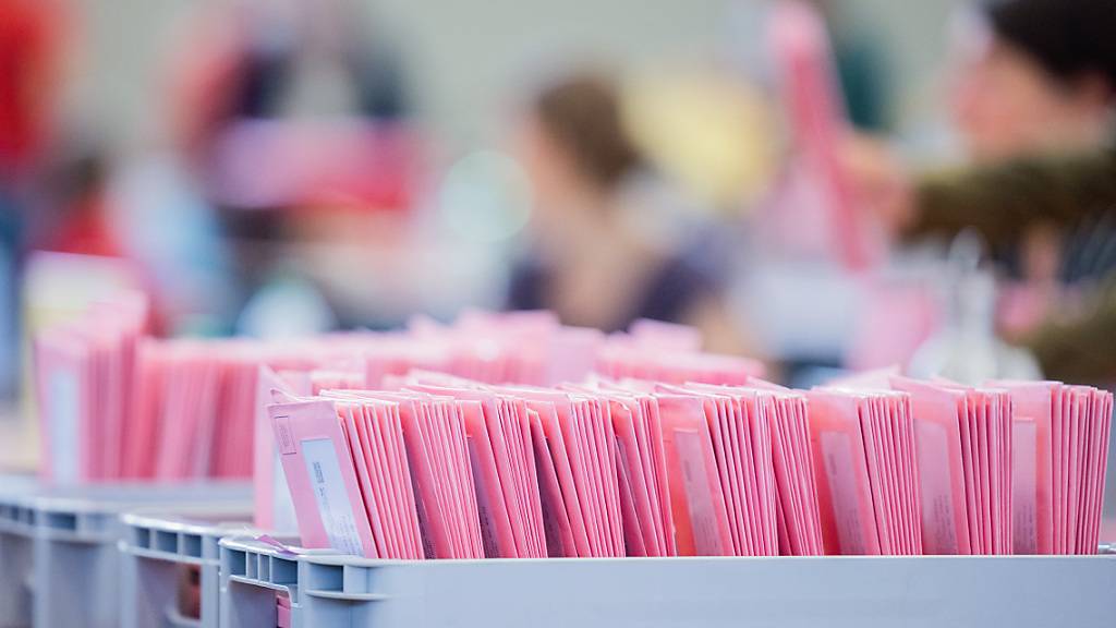 Wahlhelferinnen und Wahlhelfer öffnen bei der Auszählung der Briefwahl zur Bundestagswahl in der Messehalle 6 in Köln die rosafarbenen Umschläge. Foto: Rolf Vennenbernd/dpa
