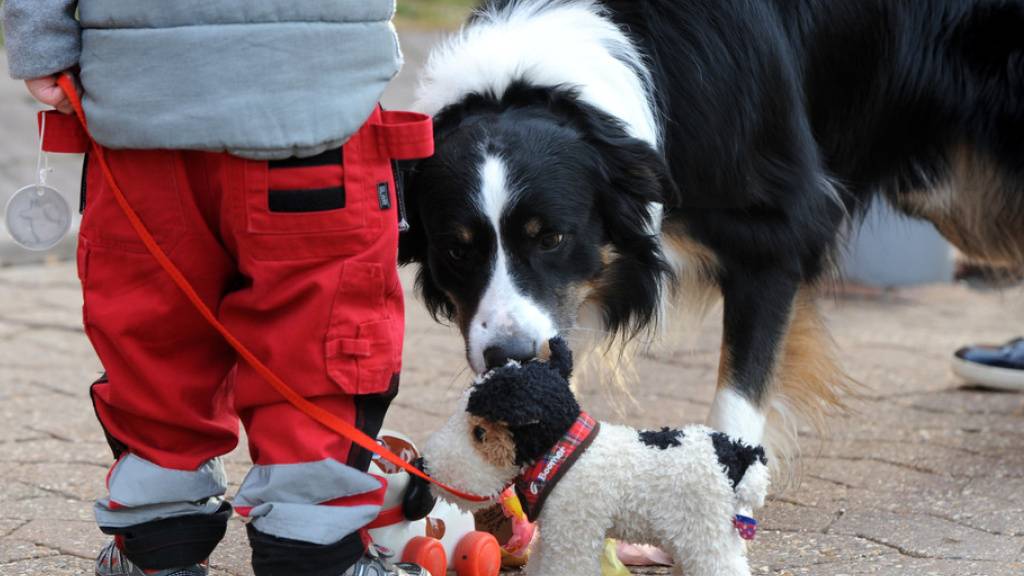 Ein Forschungsteam untersuchte den Einfluss von Hunden auf die Fitness von Kindern. (Archivbild)