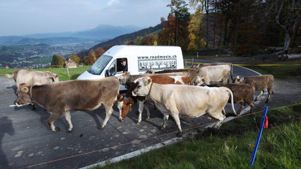 Roadmovie_9-1024x682