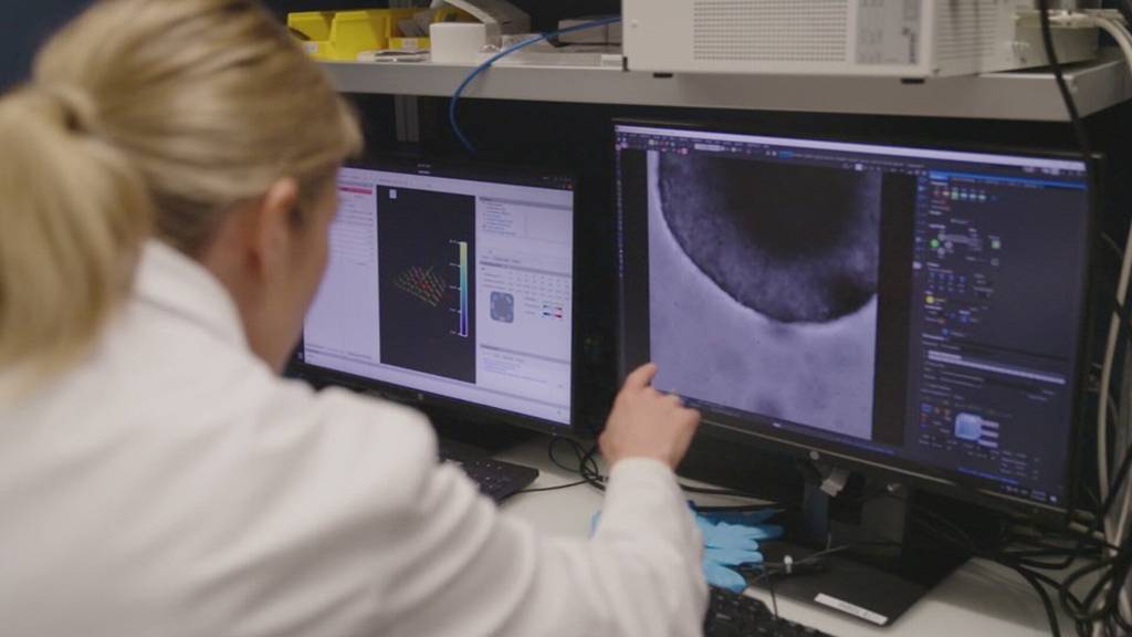 Aus Patientendossier wird Gesundheitsdossier