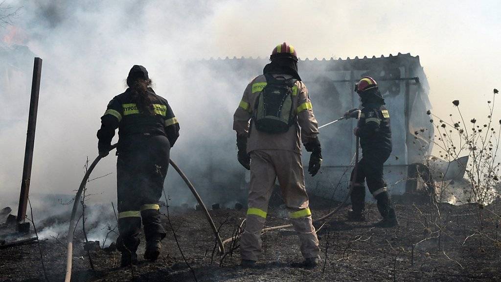 Griechische Feuerwehrleute kämpfen gegen die Flammen.