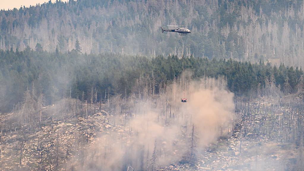 Der Klimawandel begünstigt Waldbrände. (Archivbild)