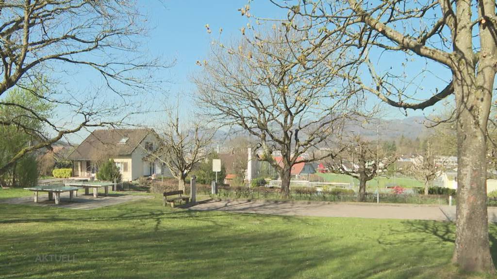 Strengere Regeln: Nach Hundeattacke in Starrkirch-Wil sollen Halter eine Ausbildung machen