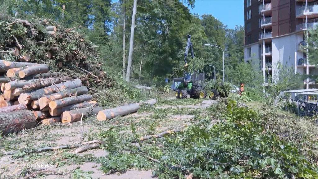 Aufräumaktion nach Monstergewitter dauert noch an