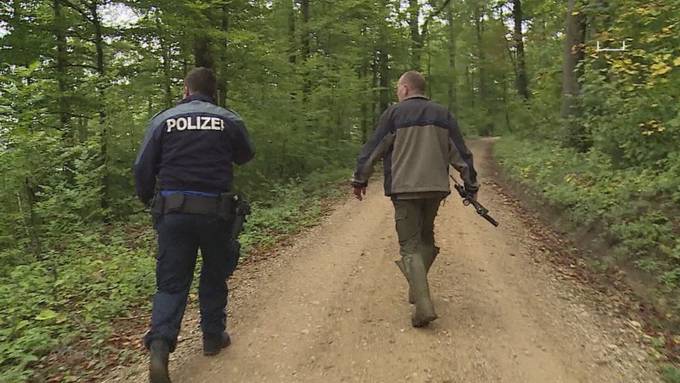 30 Jahre Tele M1: Auf Wallaby-Jagd mit unserem Reporter