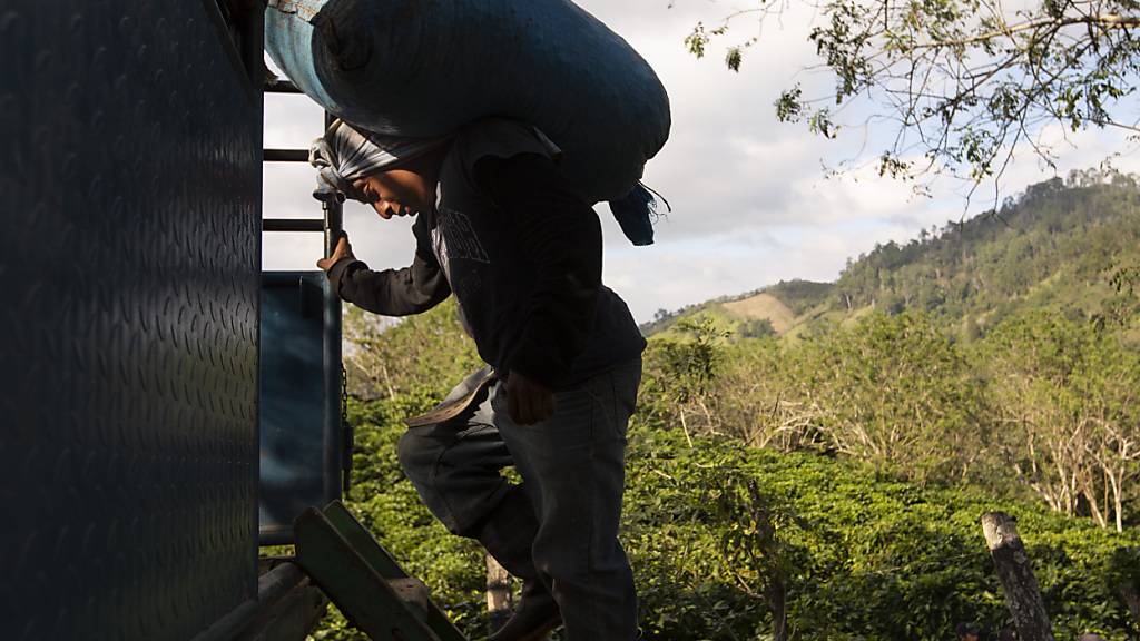 Guatemaltekische Justiz lässt Schweizer Kaffeehändler festnehmen