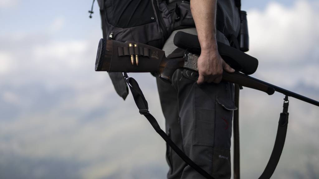 Der Kanton Schwyz hat die Jagdsaison 2025 erfolgreich abgeschlossen. (Symbolbild)