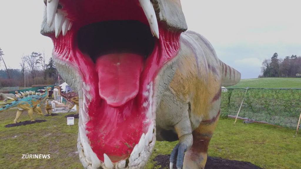 Jurassic Park in Wädenswil: 50 Dinosaurier erobern die Stadt