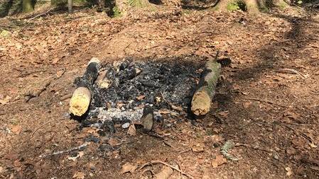 Uri erlässt Feuerverbot im Wald und Waldesnähe