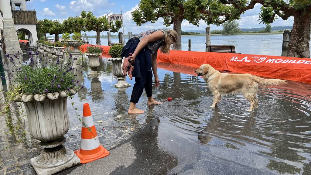 Hochwasserpegel in Gottlieben ist hoch