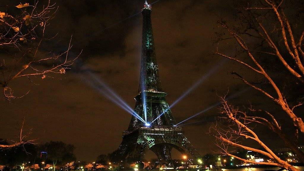 Noch ist der Wald licht, doch mit jeder Spende wird ein Baum auf den Eiffelturm «gepflanzt».
