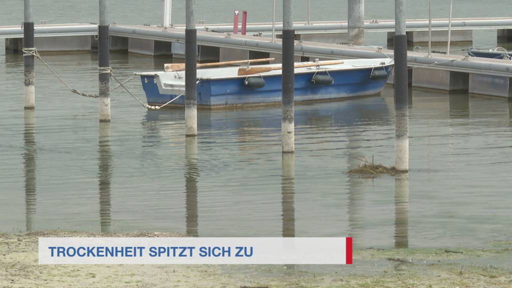 Kurznachrichten