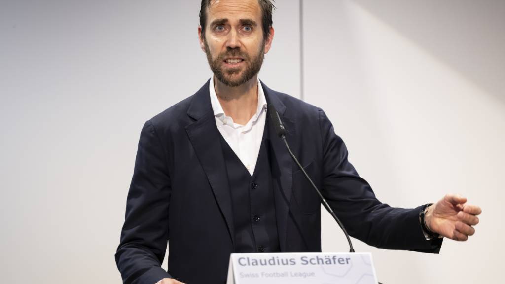 SFV und SFL führen Profitum für Schiedsrichter ein