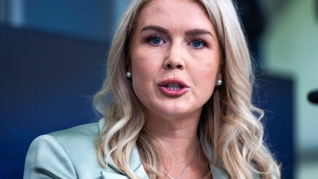 Das Weisse Haus bekräftigt, dass aus US-Sicht die Zukunft von Tiktok in dem Land grundsätzlich ausgehandelt ist. Es müsse nur noch ein Deal unterschrieben werden, sagte Sprecherin Karoline Leavitt dem US-Sender Fox News. (Archivbild)