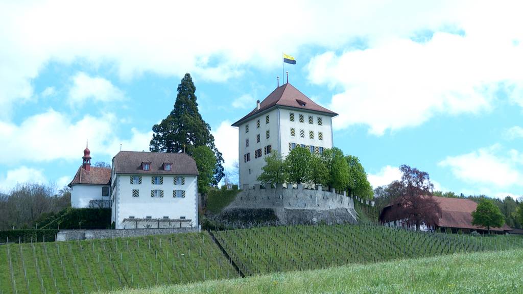Wohnmuseum: Das Schloss Heidegg erwacht zum Leben