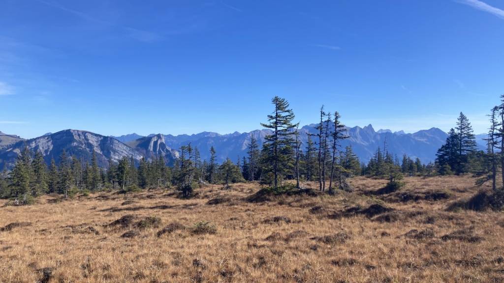 Moorlandschaft auf der Alp Tamons oberhalb von Mels.
