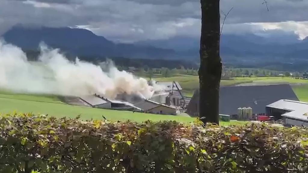 Brand eines Schweinestalls in Hohenrain