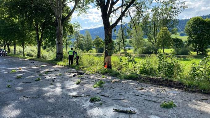 Vor Polizei geflüchtet – 2 junge Männer sterben bei Autounfall