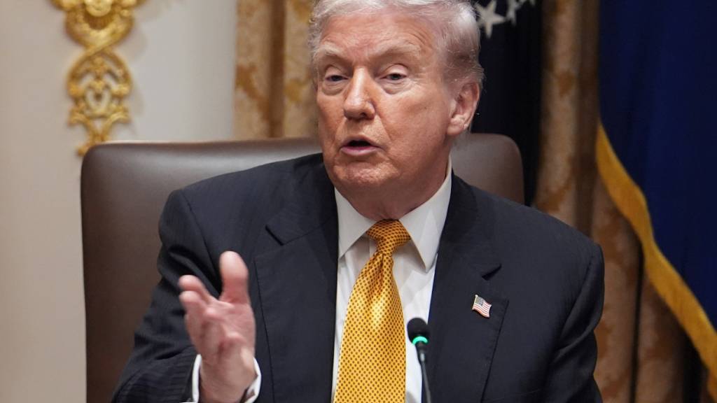 US-Präsident Donald Trump spricht im Kabinettssaal des Weißen Hauses. Foto: Evan Vucci/AP/dpa