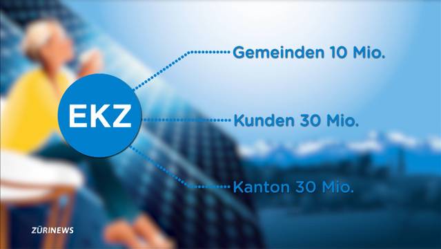 Elektrizitätswerke sollen Gewinn bringend sein