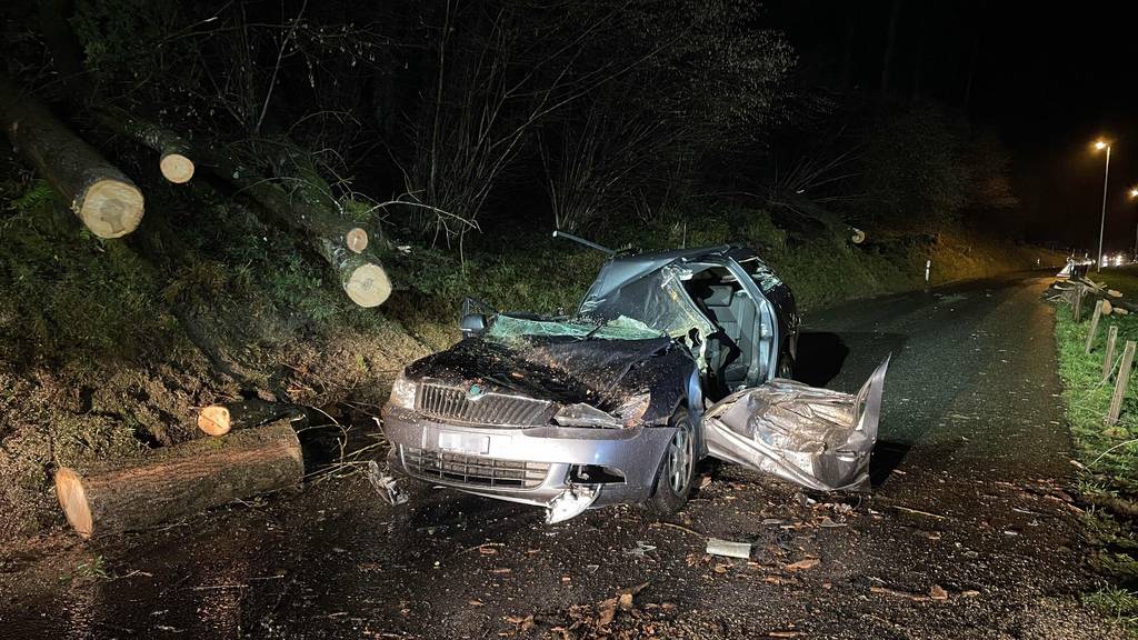 Auto von Bäumen getroffen: Lenker wird schwer verletzt
