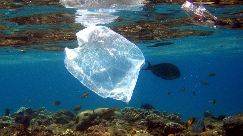Einweg-Plastiksäcke zählen zu den häufigsten Dingen, die im Abfall an Neuseelands Küsten gefunden werden. (Symbolbild)