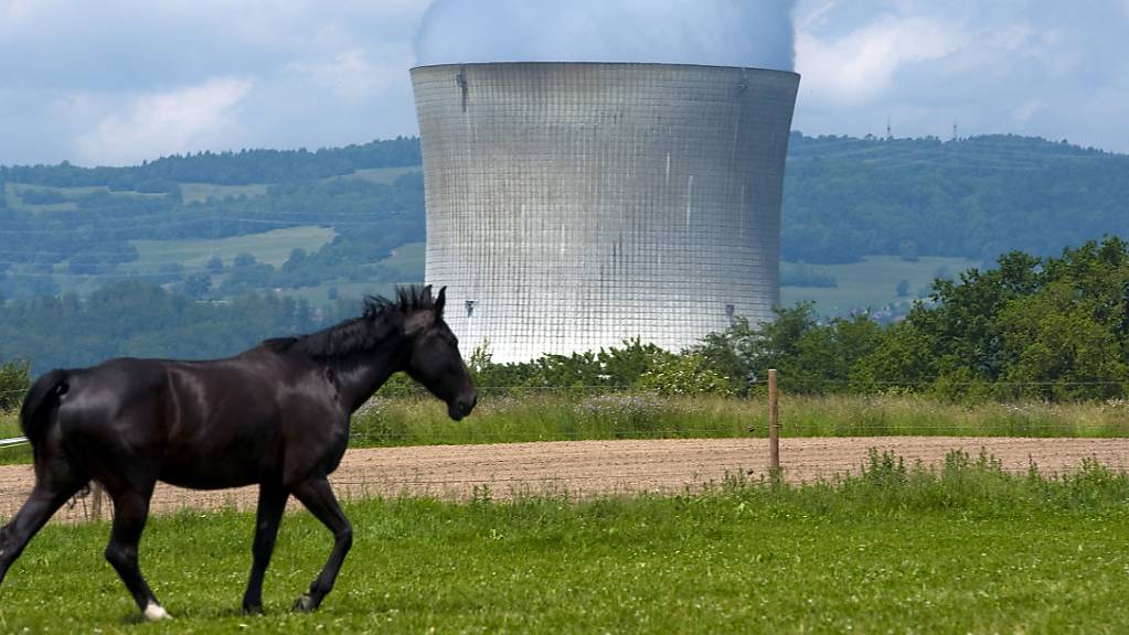 Das Kernkraftwerk Leibstadt AG wird nach einer Abschaltung wegen einer technischen Störung seit Montagabend wieder hochgefahren. (Archivbild)