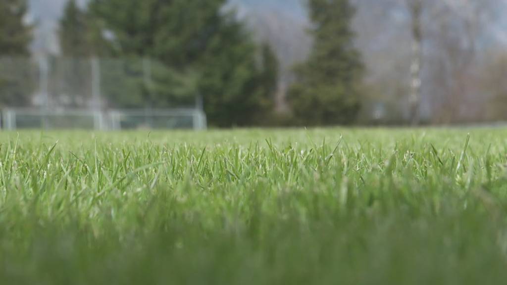 Aussensaison-Start in Gams: Das Rheintal-Oberländer Verbandsschwingfest steht an