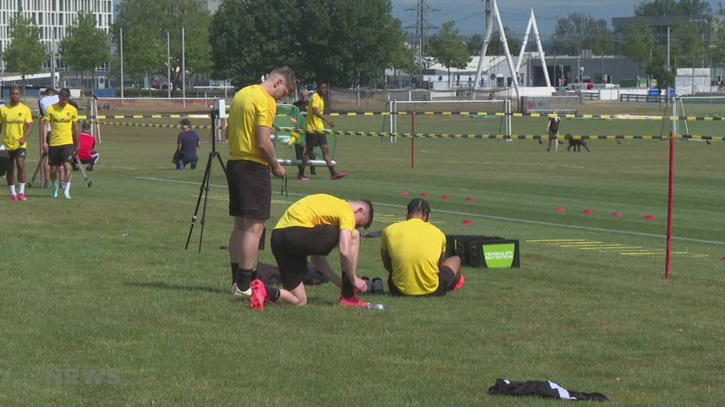 Trainingsstart für YB