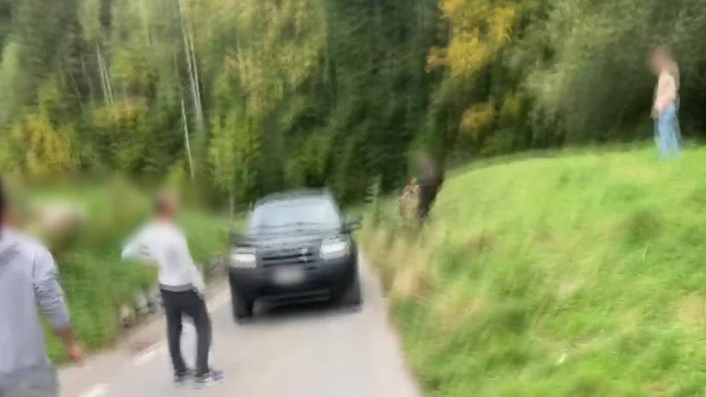 «Aus fahrendem Auto» Teufner Jäger erschiesst Fuchs