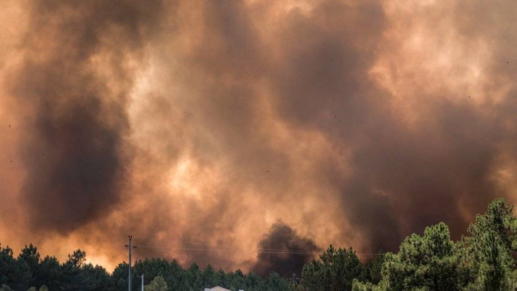 Winde fachen die Waldbrände in Portugal weiter an. Zwei Dutzend Dörfer werden evakuiert. (Archivbild)