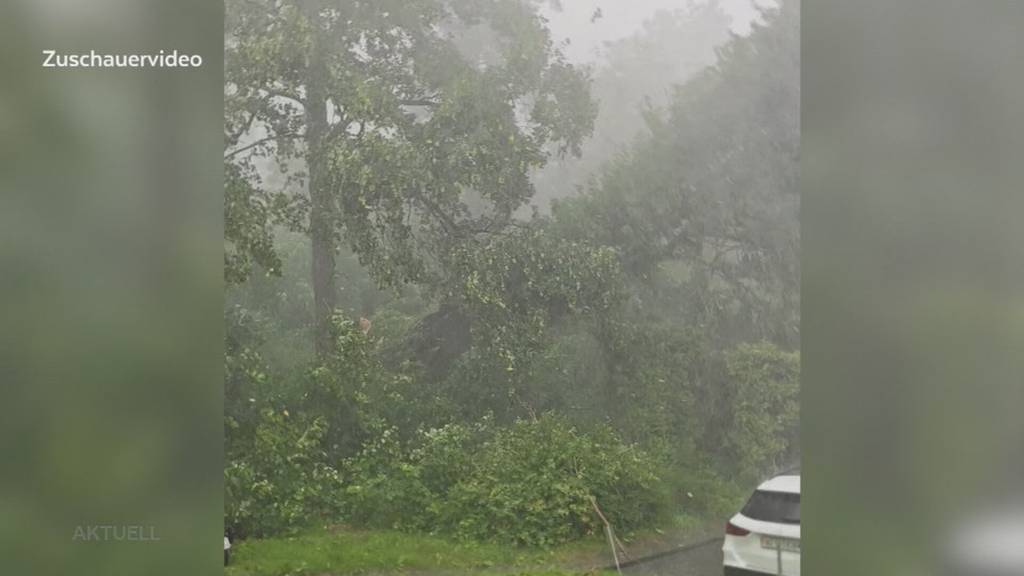 Unwetter: Ein Baum stürzt in Erlinsbach auf ein Wohnhaus und beschädigt drei Wohnungen