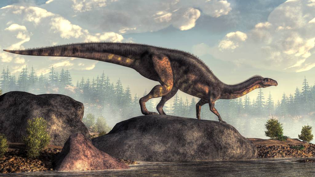 «Jurassic Park» im Fricktal: Neue Knochen entdeckt