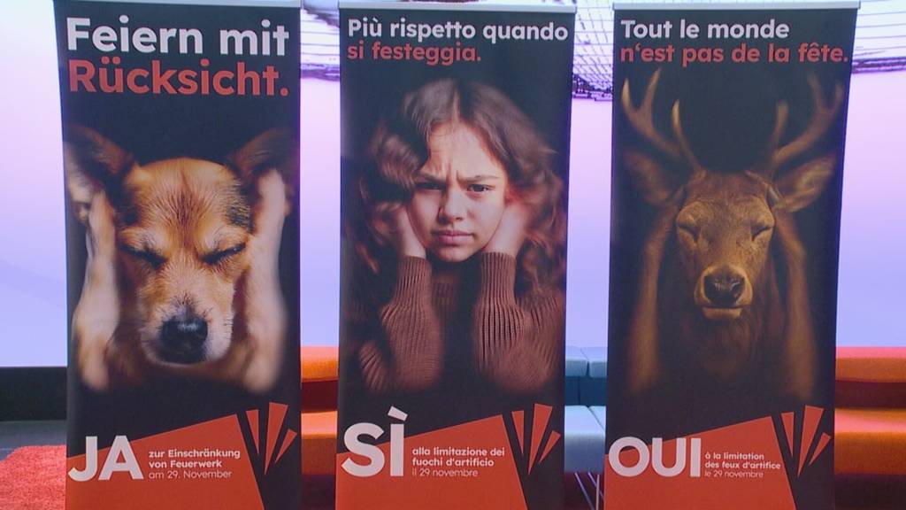 Initiative zu Feuerwerk-Verbot beschäftigt auch Bugano in Neudorf