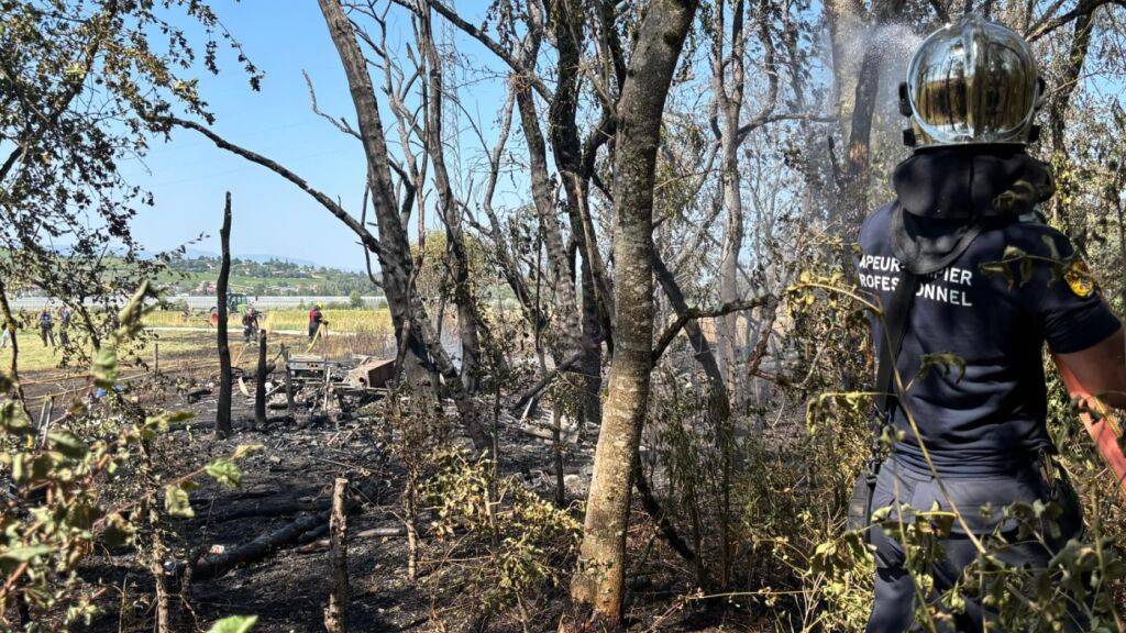 Der Wind erleichterte das Übergreifen des Brandes von einem Feld auf einen Wald.