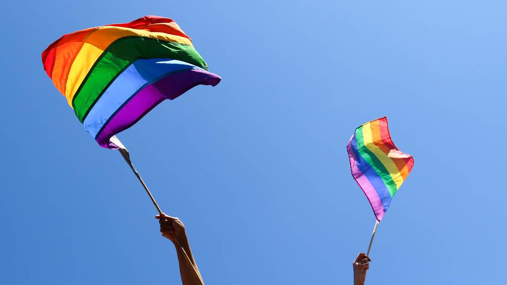 Kritik an Firmen mit Pride-Logos: «Lieber nichts machen als Pinkwashing»