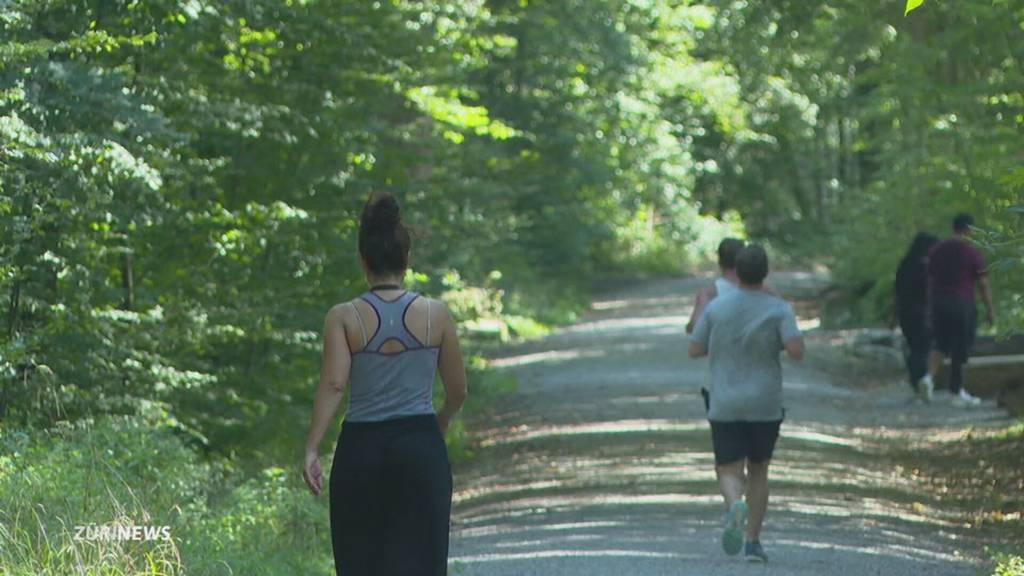 Mulmiges Gefühl nach sexuellem Missbrauch im Käferbergwald