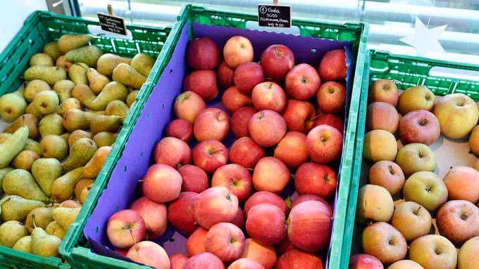 Schweizer Apfel- und Birnenernte beginnt verspätet
