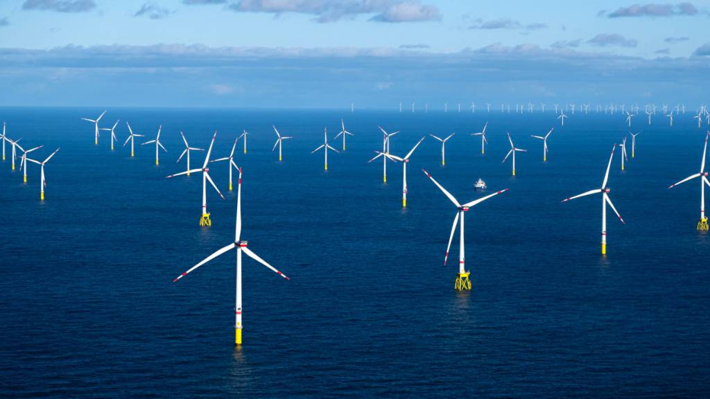 Windpark-Flächen in Nordsee laut Vattenfall-Chefin begrenzt (Symbolbild)