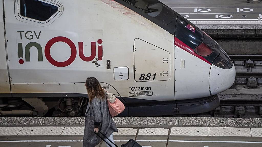 In Frankreich waren am Freitag mehrere TGV-Linien von Brandanschlägen getroffen worden. Auch am Samstag kam es noch zu Verspätungen und Ausfällen von Zügen. (Archivbild)